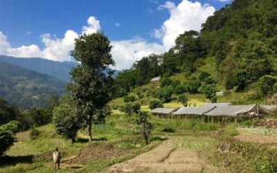 Saathi Bio Farm: Community Organic Market and Educational Centre in Nepal