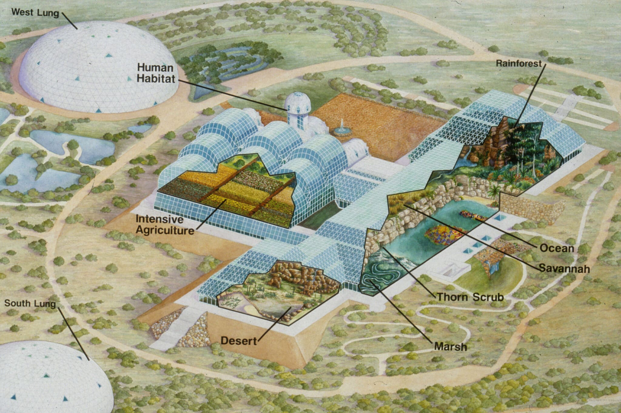 Projects - Biosphere 2 - The Institute of Ecotechnics