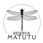 6+SITE